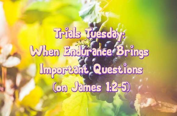 Trial Tuesday - Endurance 11.10.15